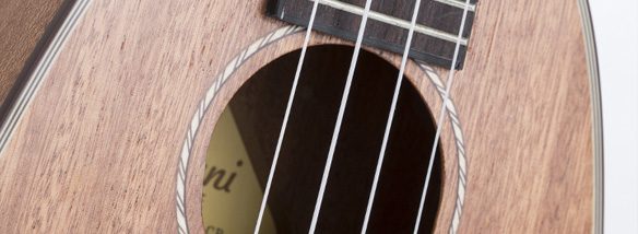 Koncertní ukulele Izzo Kayke IZ330CP