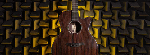 Společnost Furch Guitars